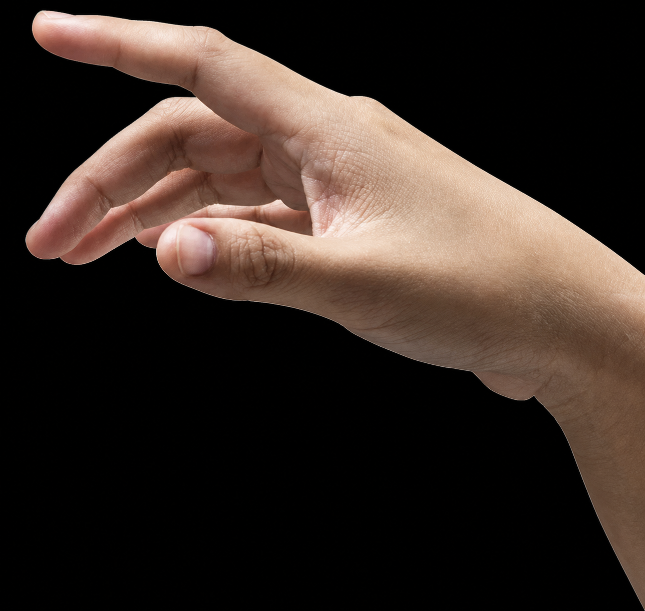 Human hand